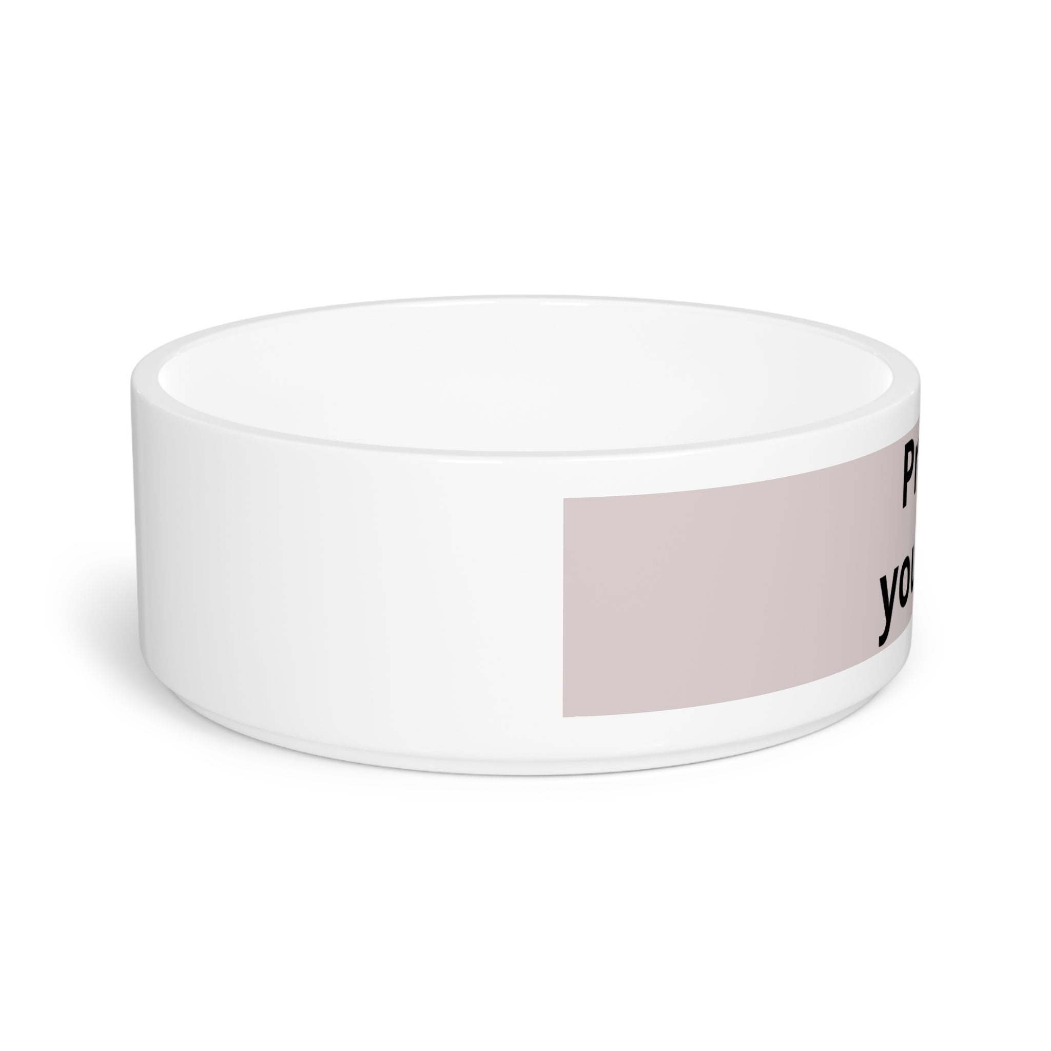 Pet Bowl