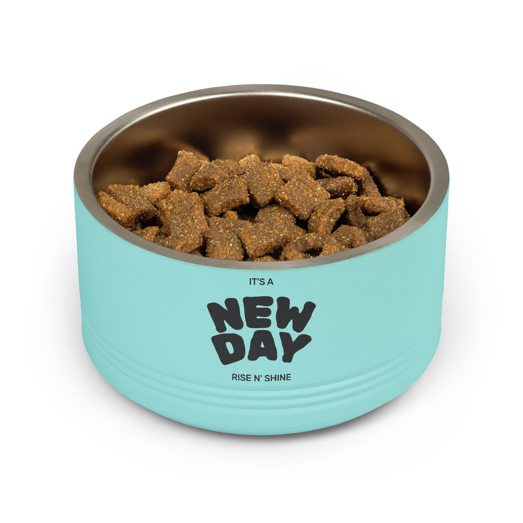 Pet Bowl, 18oz
